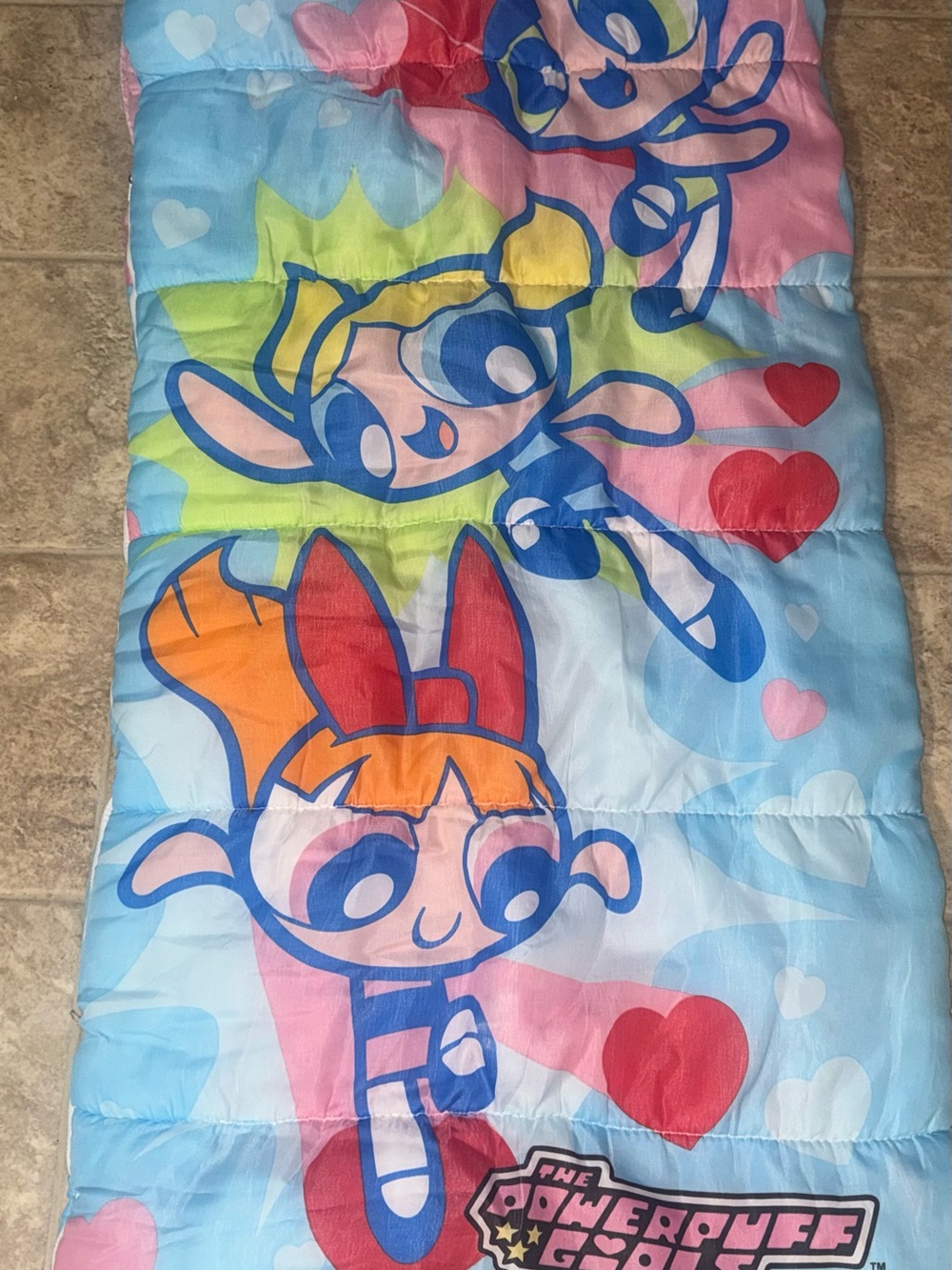 Vintage 2000 Powerpuff Girls Sleeping Bag Cartoon Network Y2K
